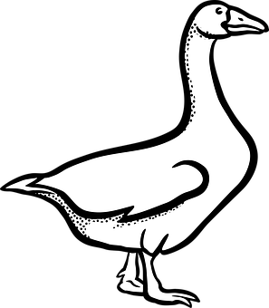 Stylized Goose Silhouette PNG Image