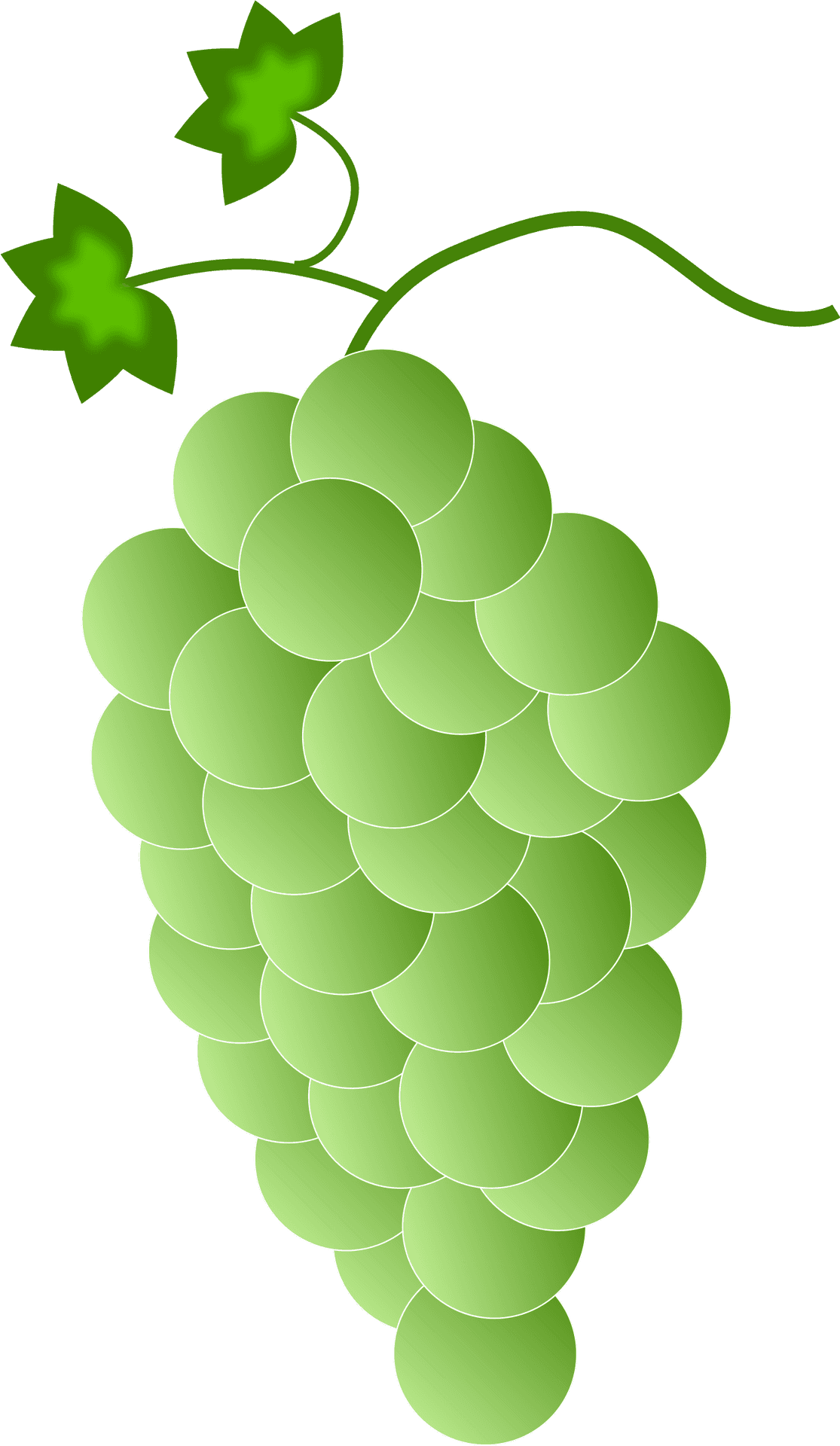 Stylized Green Grape Cluster Vector PNG Image