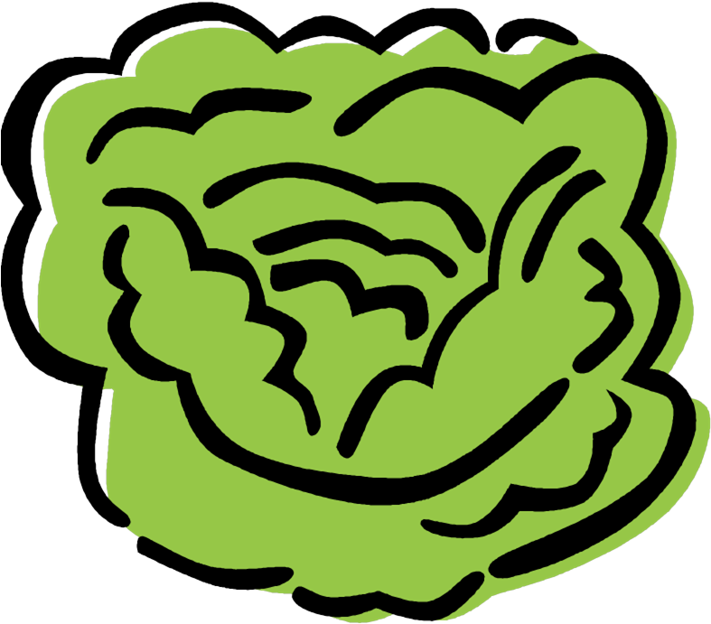 Stylized Green Lettuce Illustration PNG Image