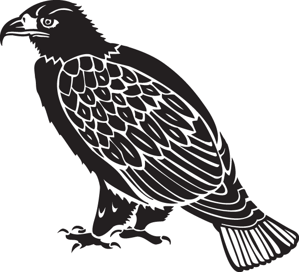 Stylized Hawk Illustration PNG Image