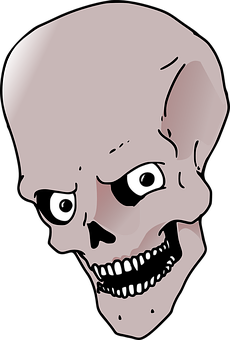 Stylized Human Skull Illustration PNG Image