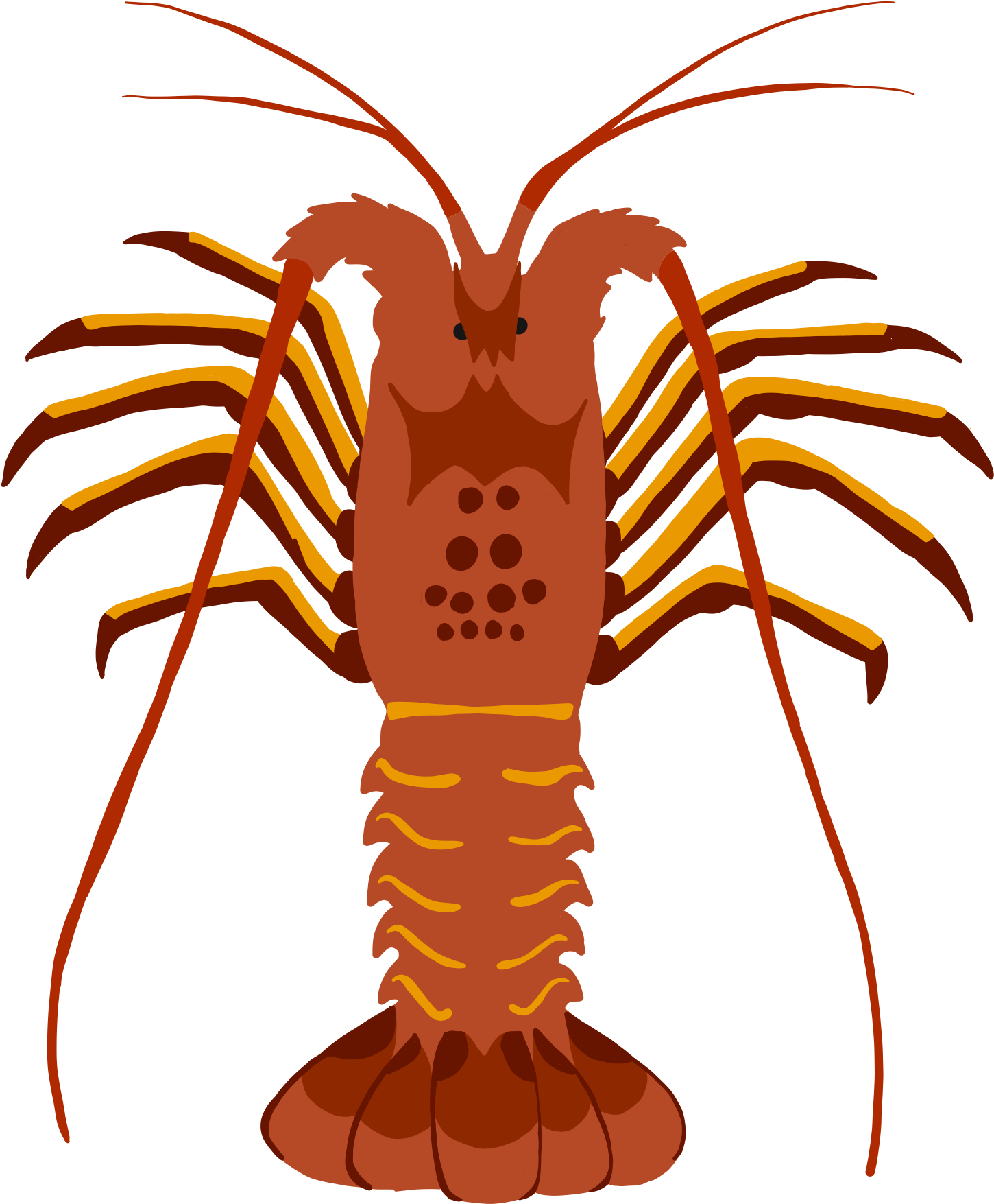 Stylized Lobster Illustration PNG Image