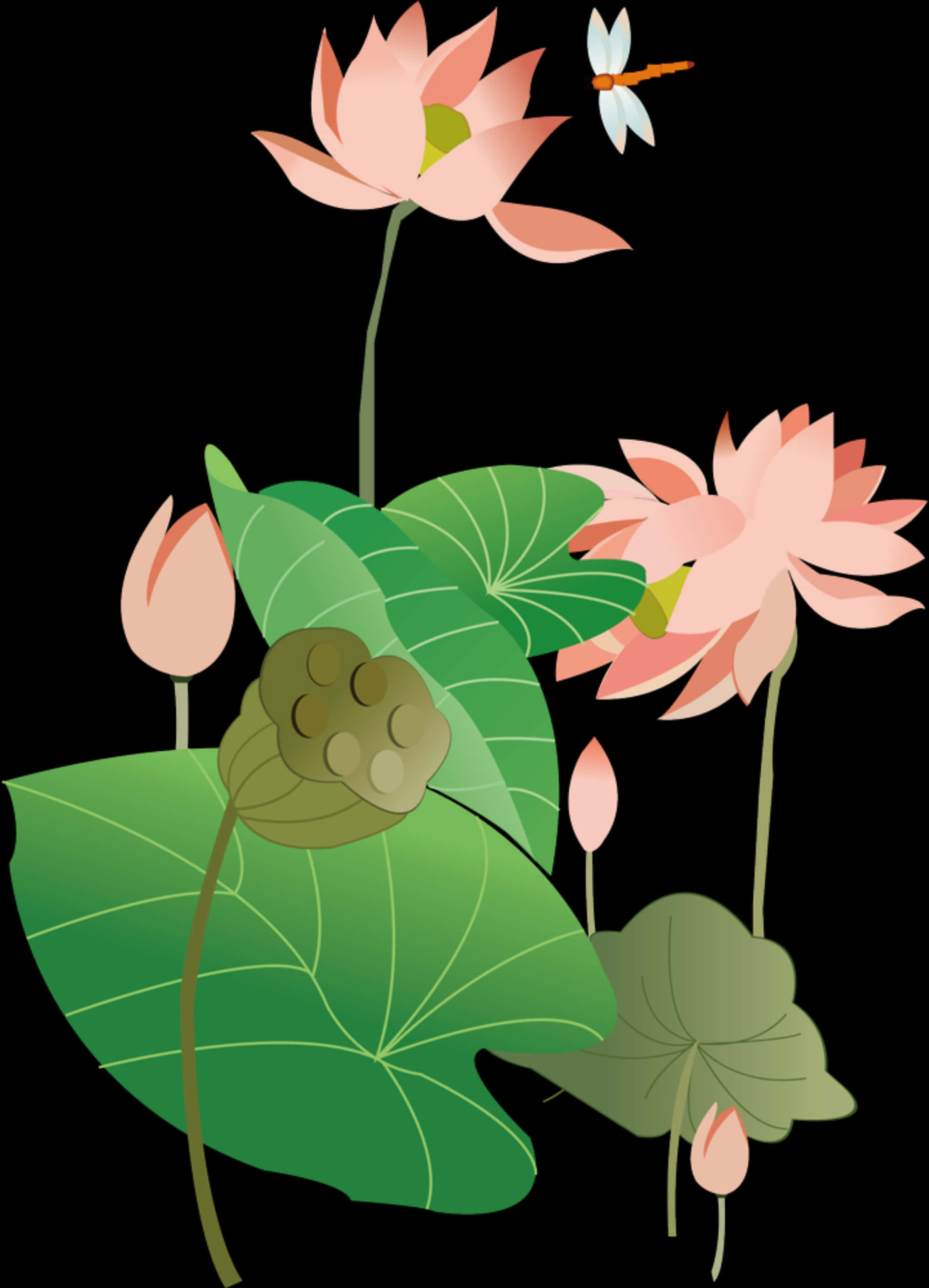 Stylized Lotus Flowersand Dragonfly PNG Image