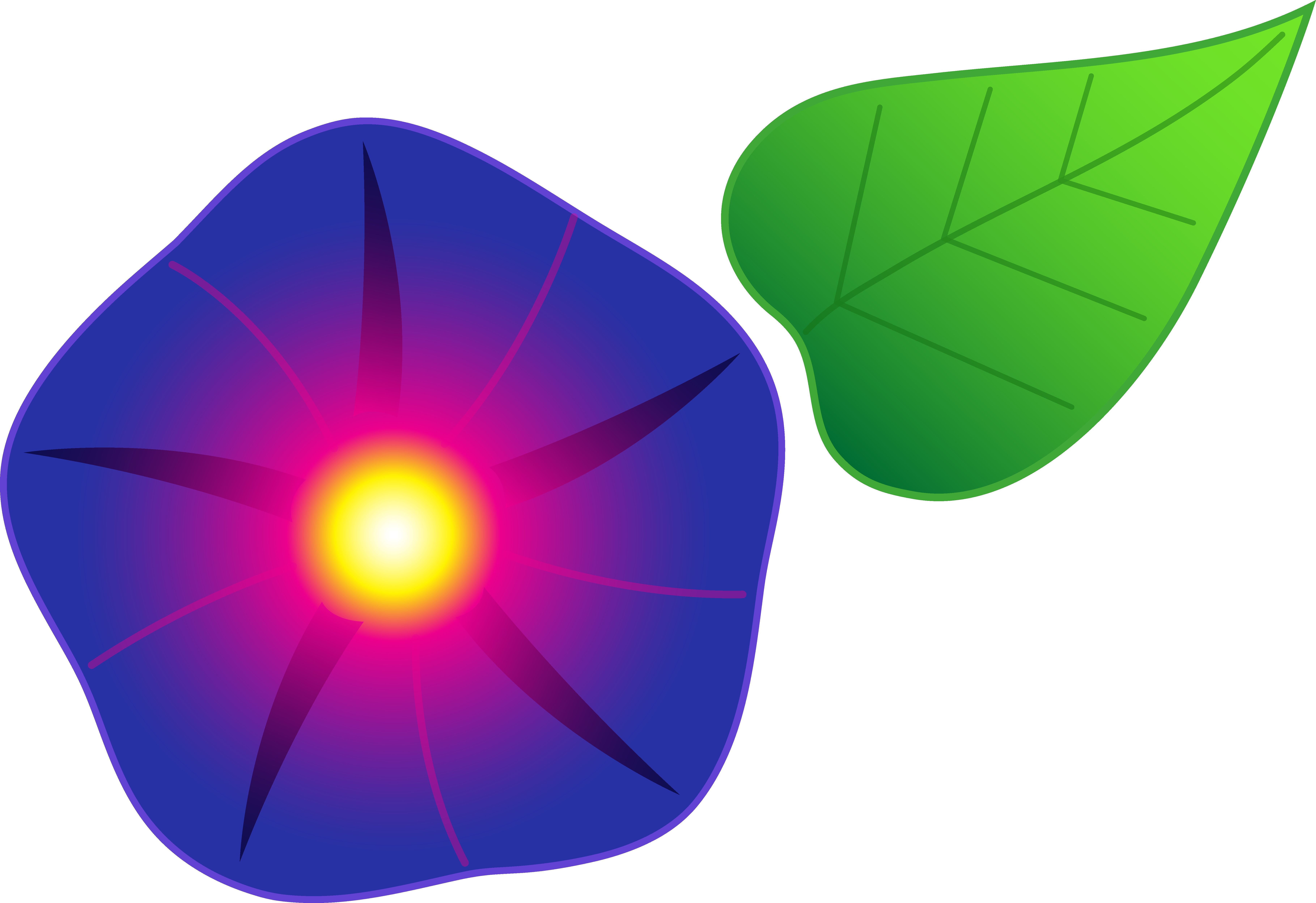 Stylized Morning Glory Graphic PNG Image