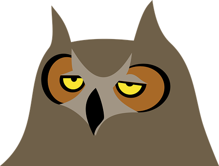 Stylized Owl Graphic PNG Image