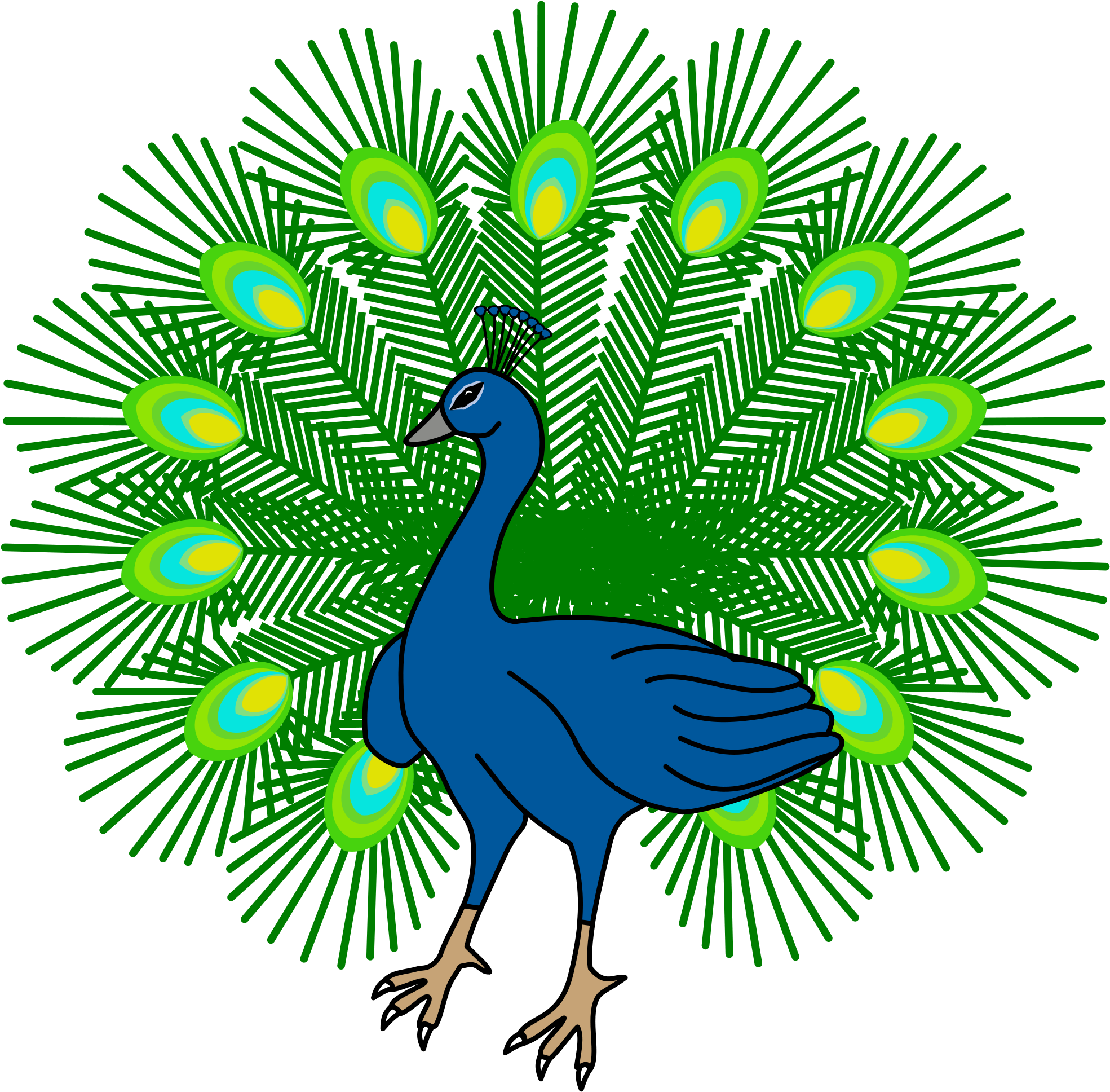 Stylized Peacock Illustration PNG Image