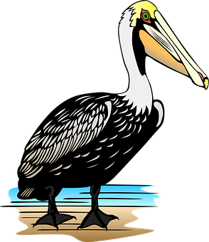 Stylized Pelican Illustration PNG Image