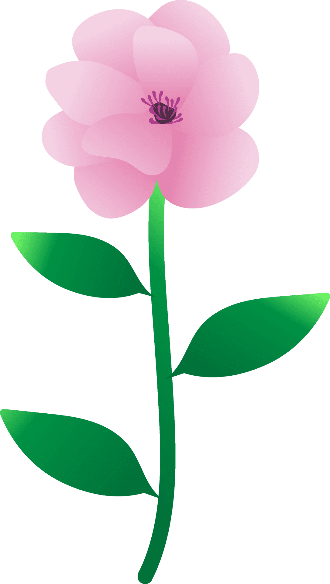 Stylized Pink Peony Vector PNG Image