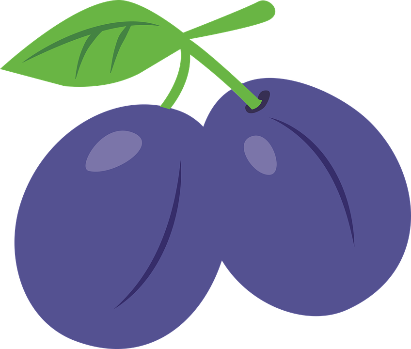 Stylized Plum Illustration PNG Image