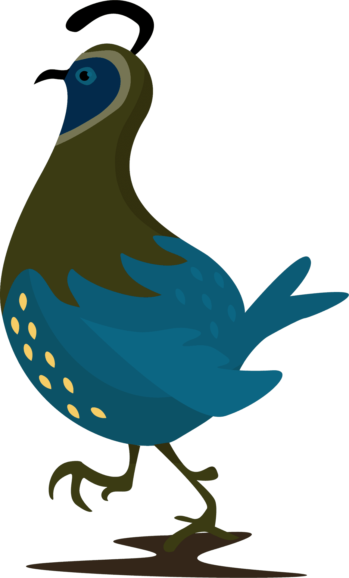 Stylized Quail Illustration PNG Image