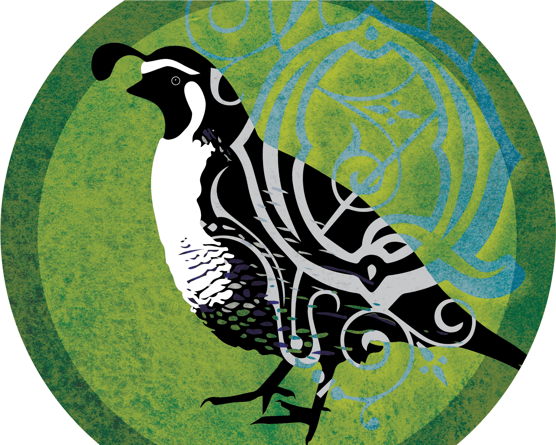 Stylized Quail Illustration PNG Image