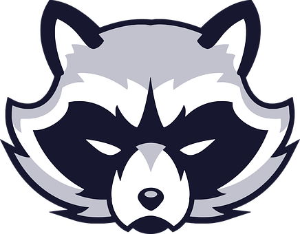 Stylized Raccoon Graphic PNG Image