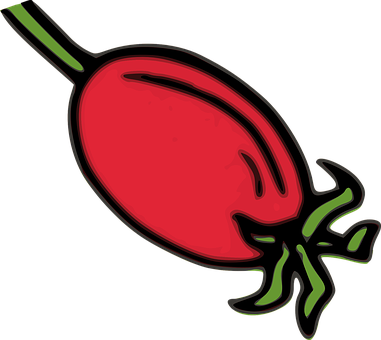 Stylized Red Rose Hip Illustration PNG Image