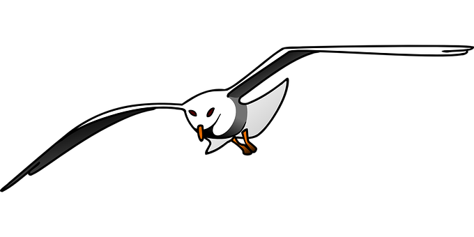 Stylized Seagull Graphic PNG Image