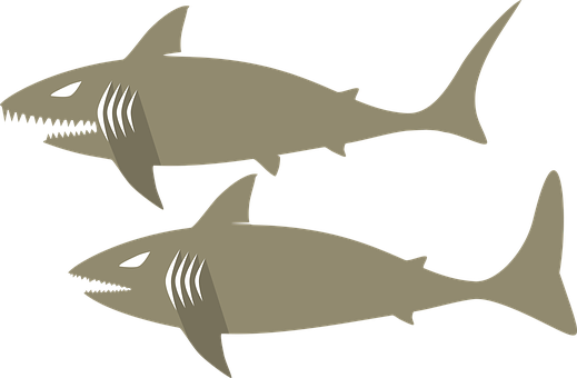 Stylized Sharks Illustration PNG Image