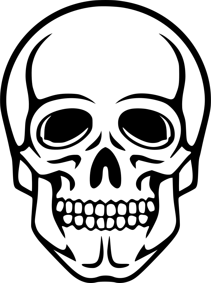 Stylized Skull Line Art PNG Image