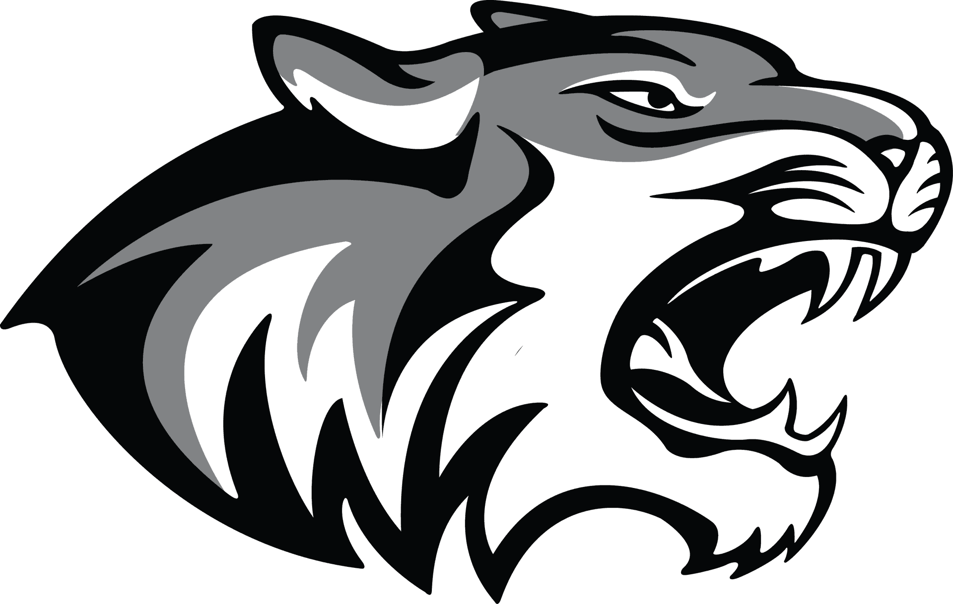 Stylized Tiger Head Graphic PNG Image