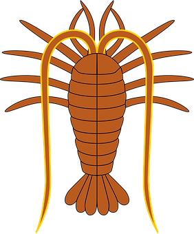 Stylized Trilobite Illustration PNG Image