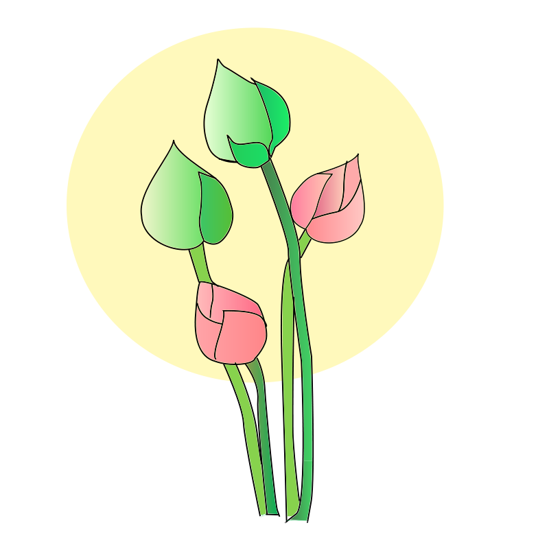 Stylized Tulips Illustration PNG Image