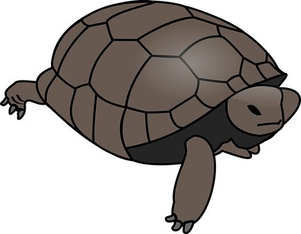 Stylized Turtle Illustration PNG Image