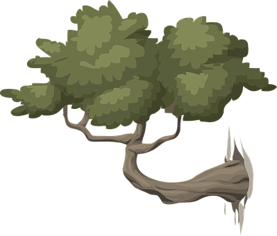 Stylized Vector Illustrationof Trees PNG Image