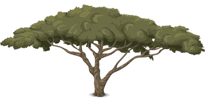 Stylized Vector Tree Illustration PNG Image