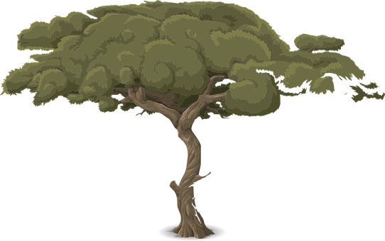 Stylized Vector Tree Illustration PNG Image