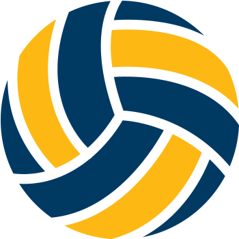 Stylized Volleyball Logo Design PNG Image