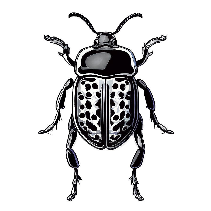 Stylized Weevil Drawing Png Oyb PNG Image