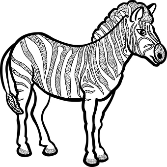 Stylized Zebra Illustration PNG Image