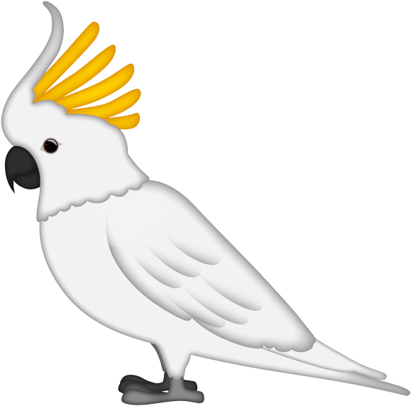 Sulphur Crested Cockatoo Illustration PNG Image