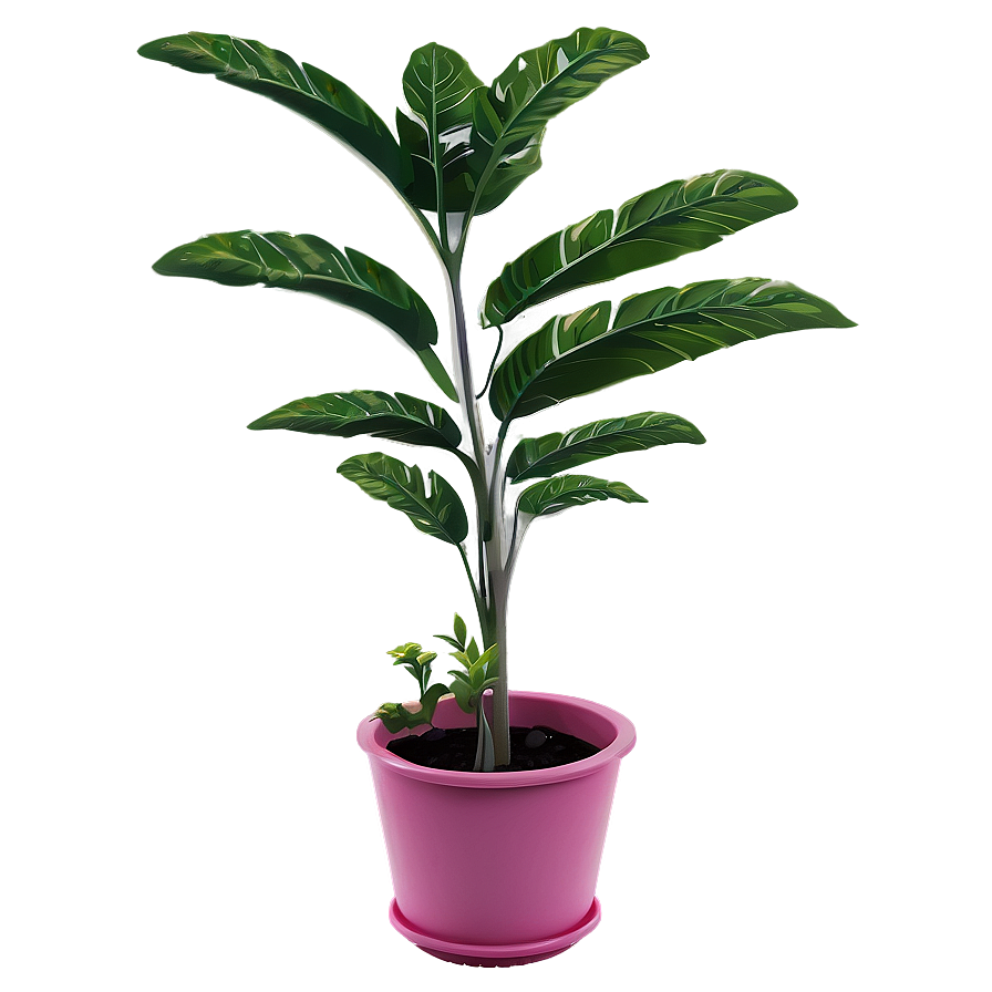 Summer Plant Png Qdo PNG Image