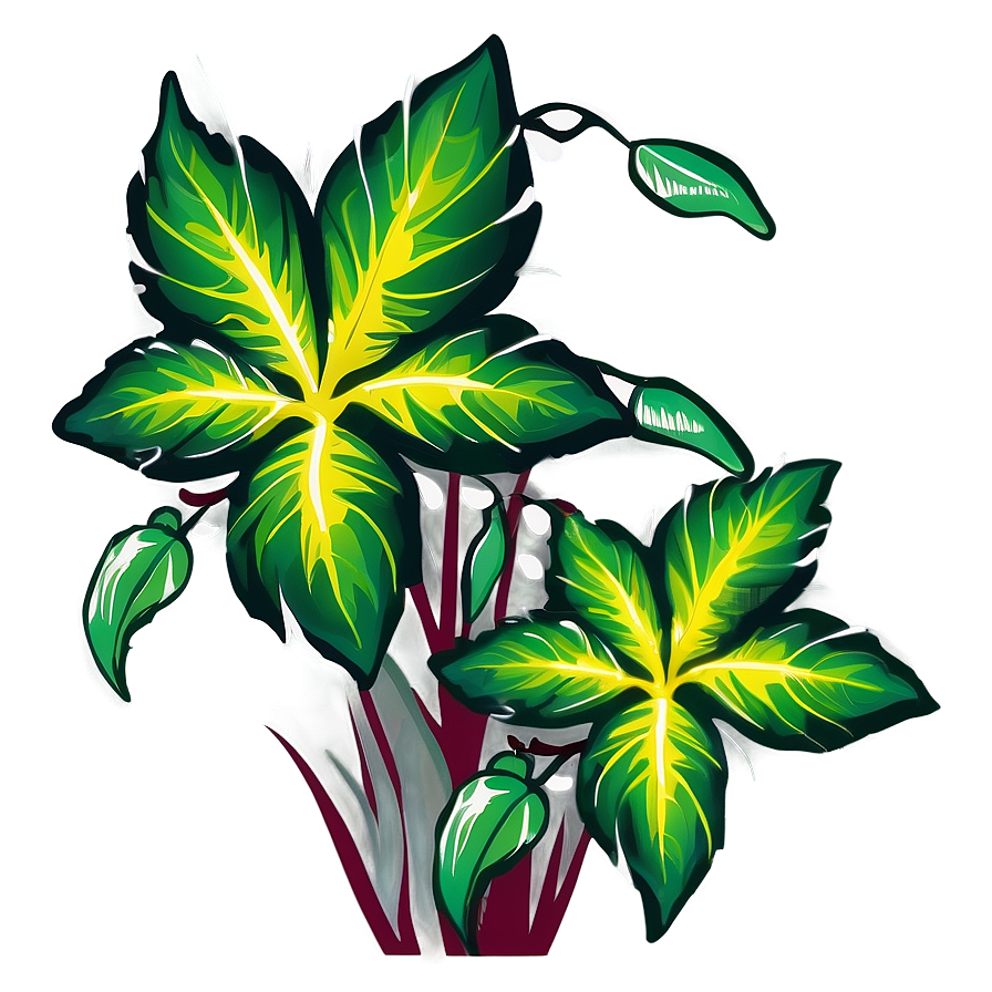 Sun Loving Plant Png 77 PNG Image