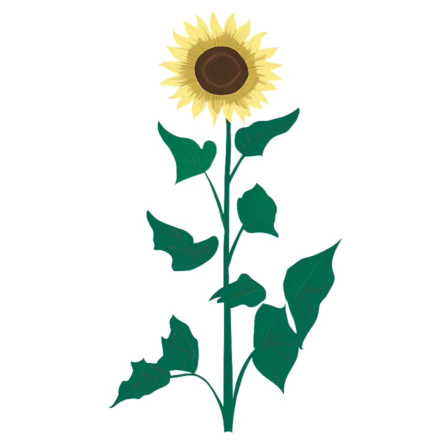 Sunflower Drawing Transparent Png Rtp PNG Image