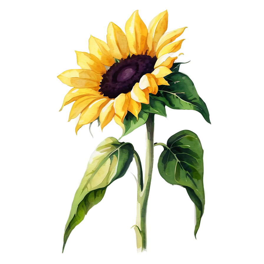 Sunflower In Watercolor Style Png 06272024 PNG Image