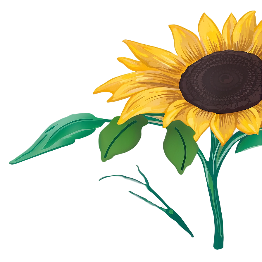 Sunflower Sketch Png 94 PNG Image