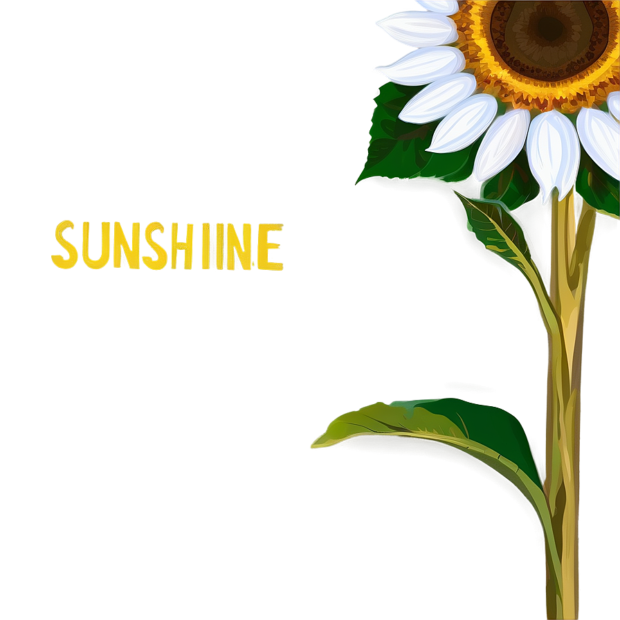 Sunflower Sunshine Png Rmi36 PNG Image