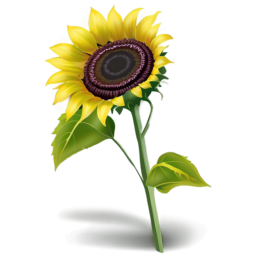 Sunflower Transparent Sign Png 2 PNG Image