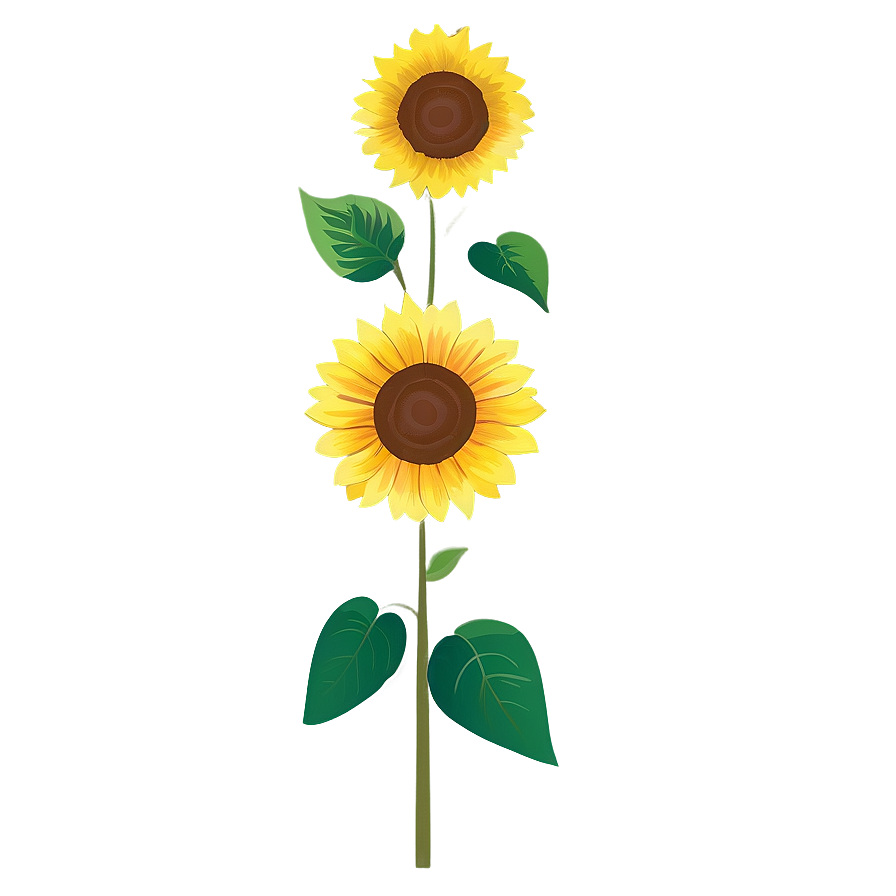 Sunflower Transparent Template Png Pir PNG Image