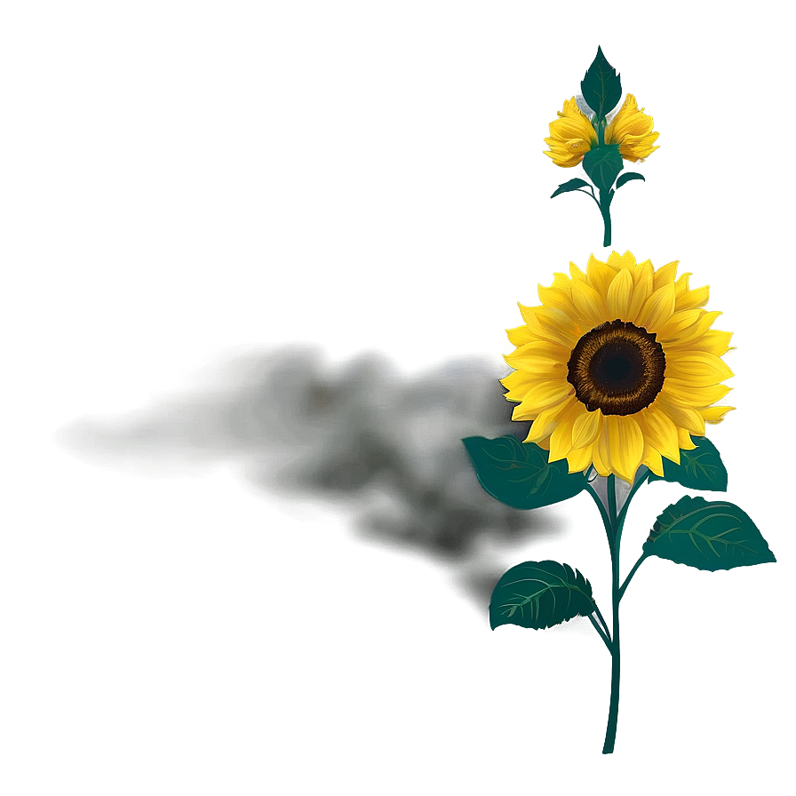 Sunflower Wallpaper Png 05032024 PNG Image