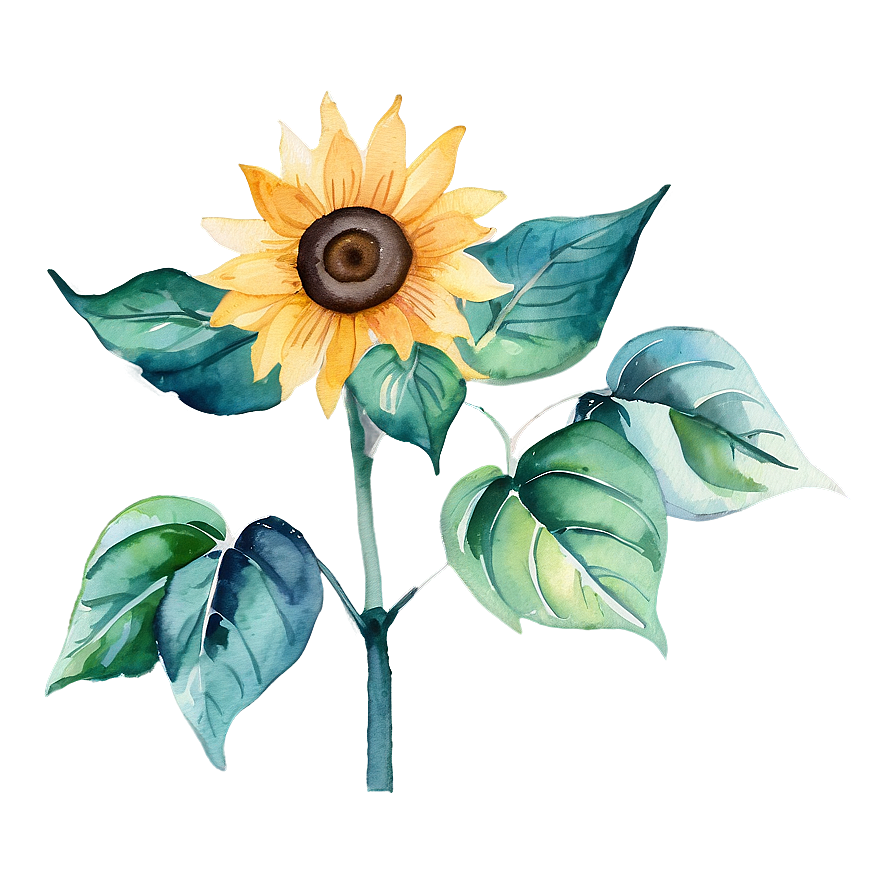 Sunflower Watercolor Diy Craft Png Xen81 PNG Image