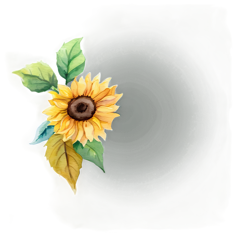 Sunflower Watercolor Phone Wallpaper Png Bcm PNG Image