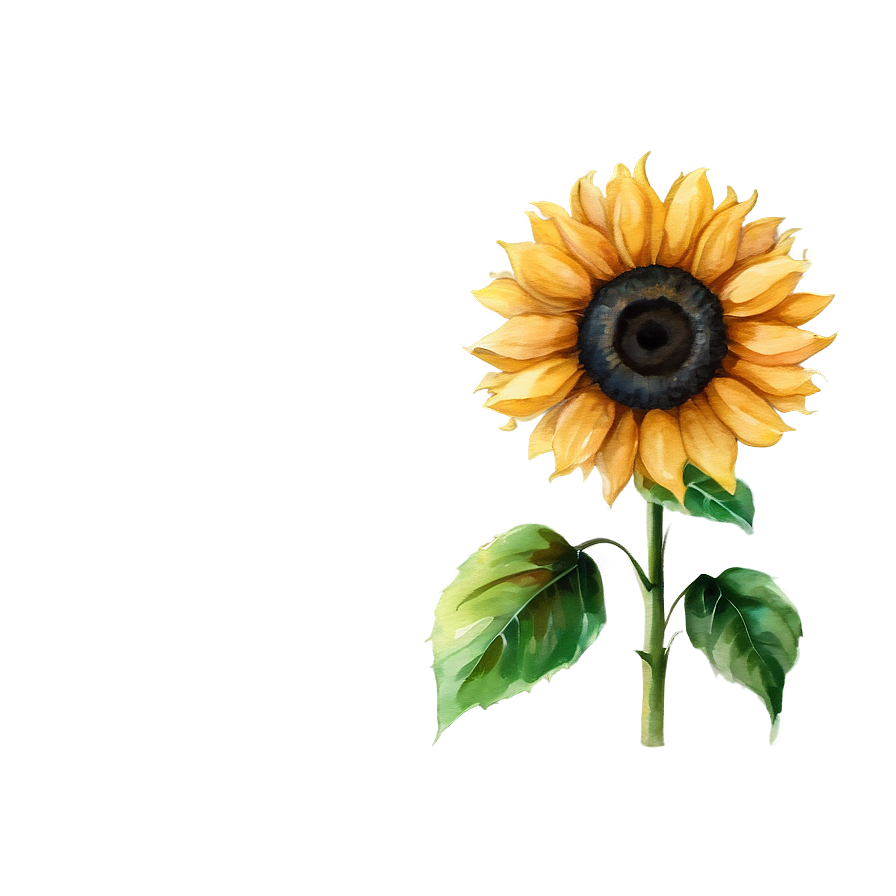 Sunflower Watercolor Profile Picture Png Ndd PNG Image