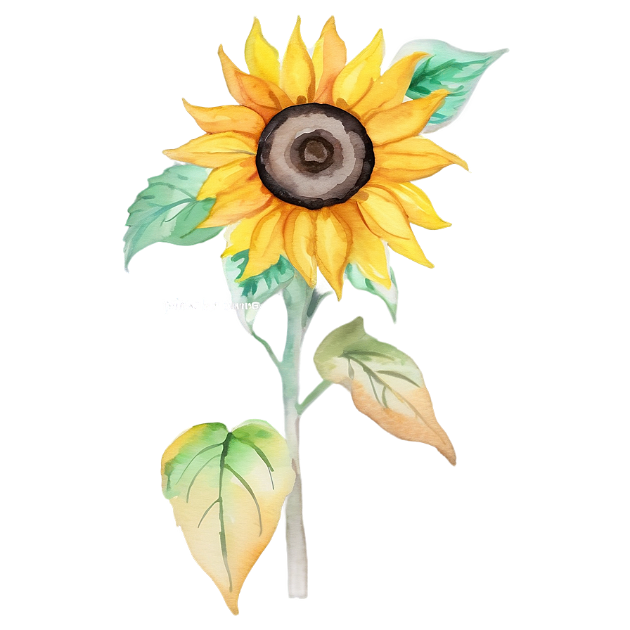 Sunflower Watercolor With Quotes Png Ksf PNG Image