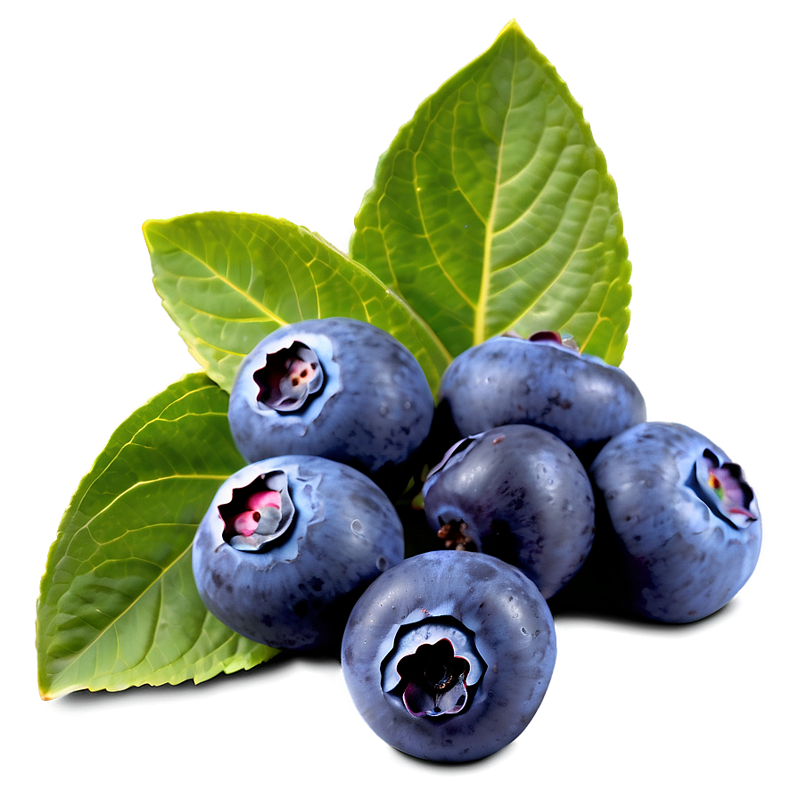 Sunlit Blueberry Png 4 PNG Image