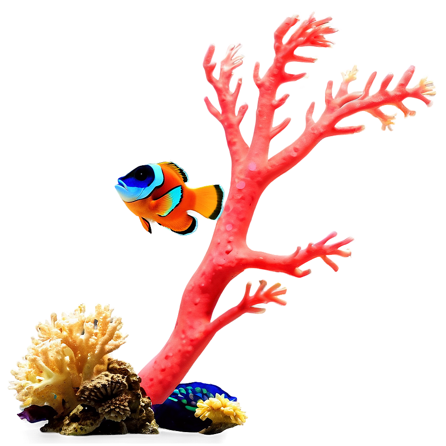 Sunlit Coral Reef Png Ovf92 PNG Image