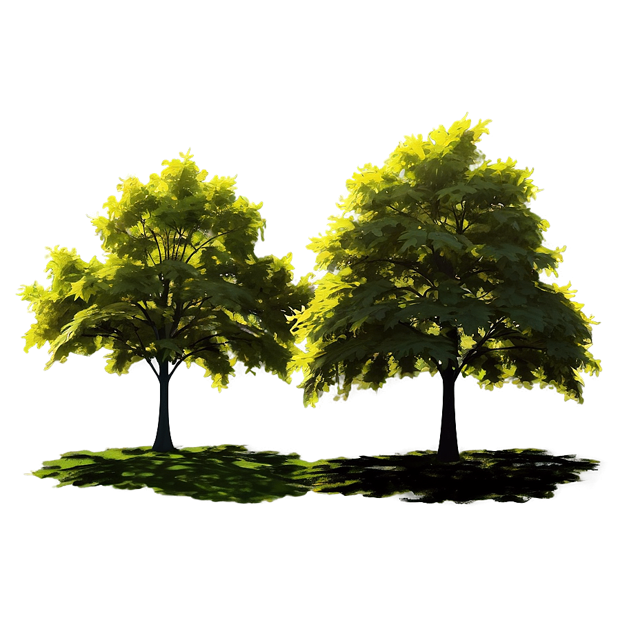 Sunlit Maple Tree Tranquility Png Elx59 PNG Image