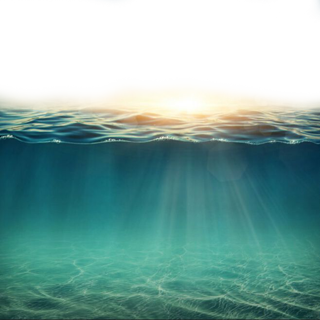 Sunlit Underwater Scene PNG Image