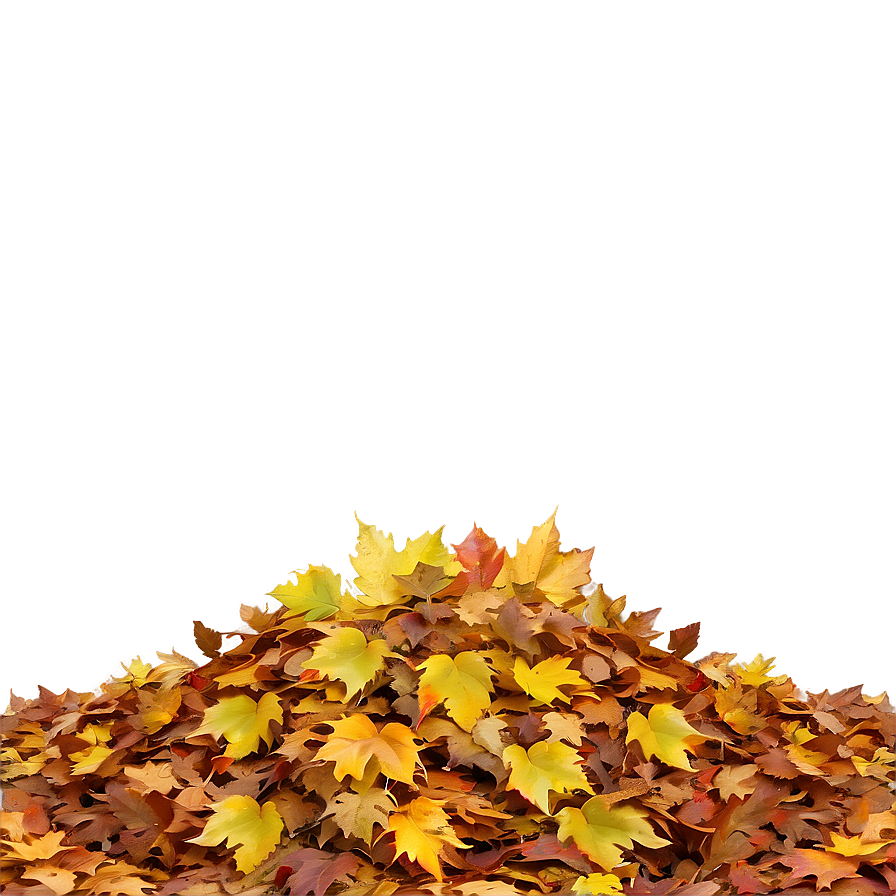 Sunny Day Leaf Pile Png 06202024 PNG Image