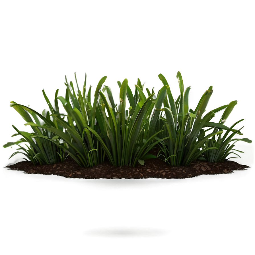 Sunny Grass Patch Png Ars PNG Image